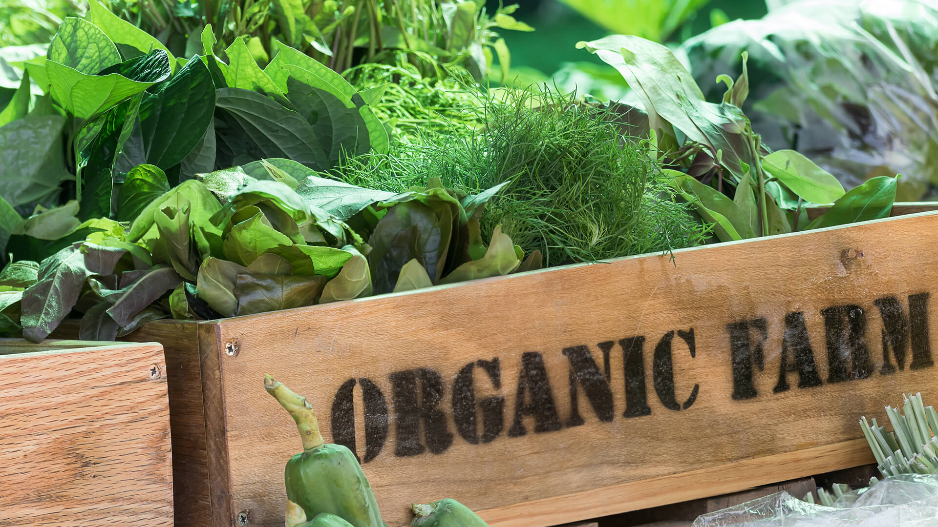 ss-organic-produce-farm