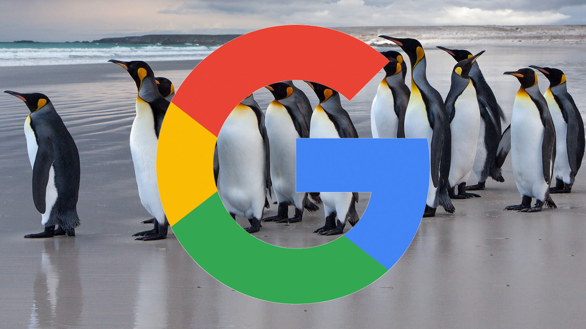 google-penguin-2016f-ss-1920