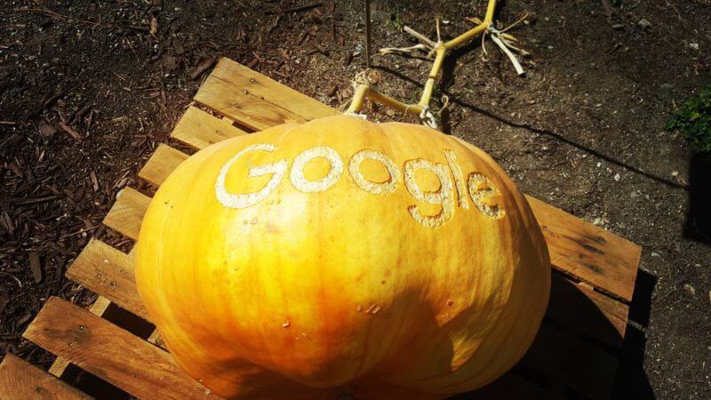 google-pumpkin